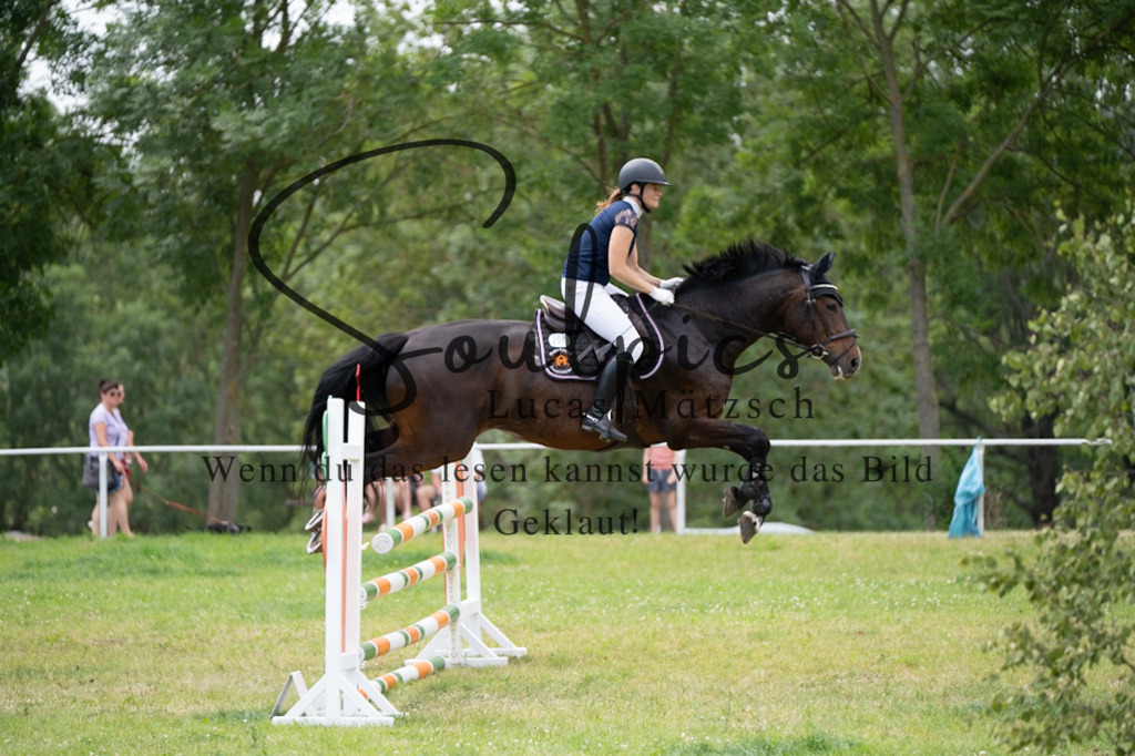 A7V06807 | Pferdefotograf