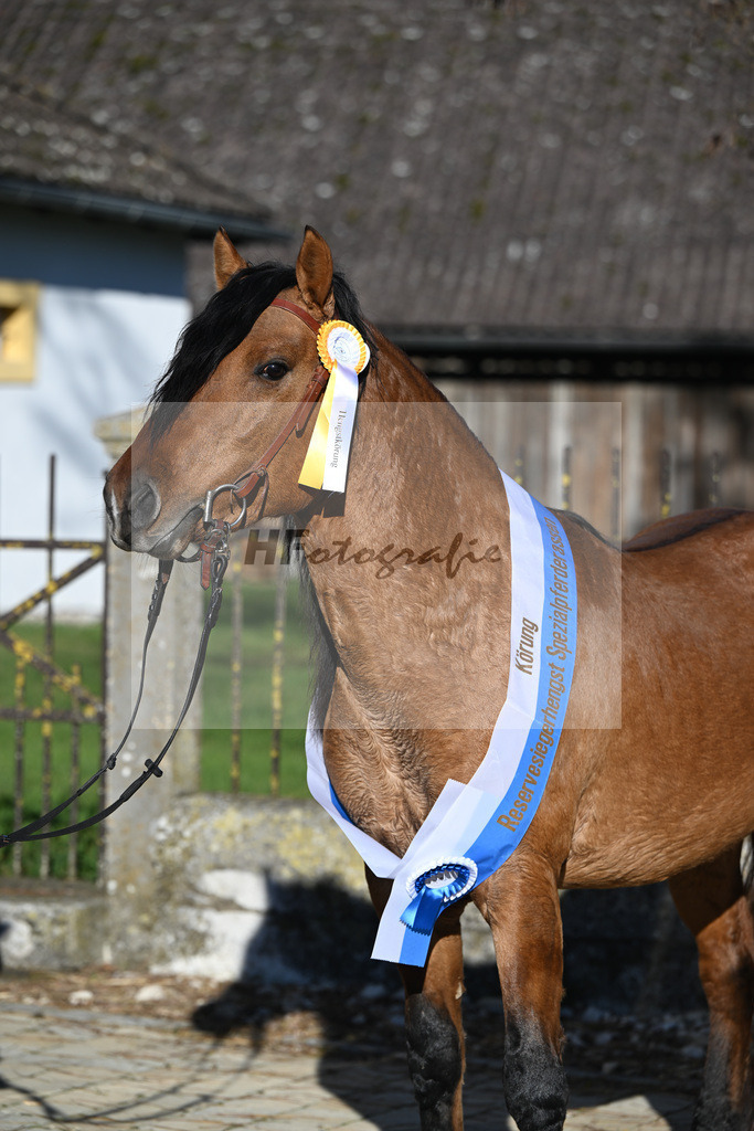 Kat-Nr. 12 Tapadero v. Tape Isidoro_Seefried_49250559 | hf-fotografie - Realisiert mit Pictrs.com