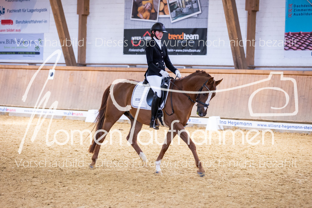 Sth-A-Dre-2St-212 | MomenTaufnahmen Pferdesportfotos