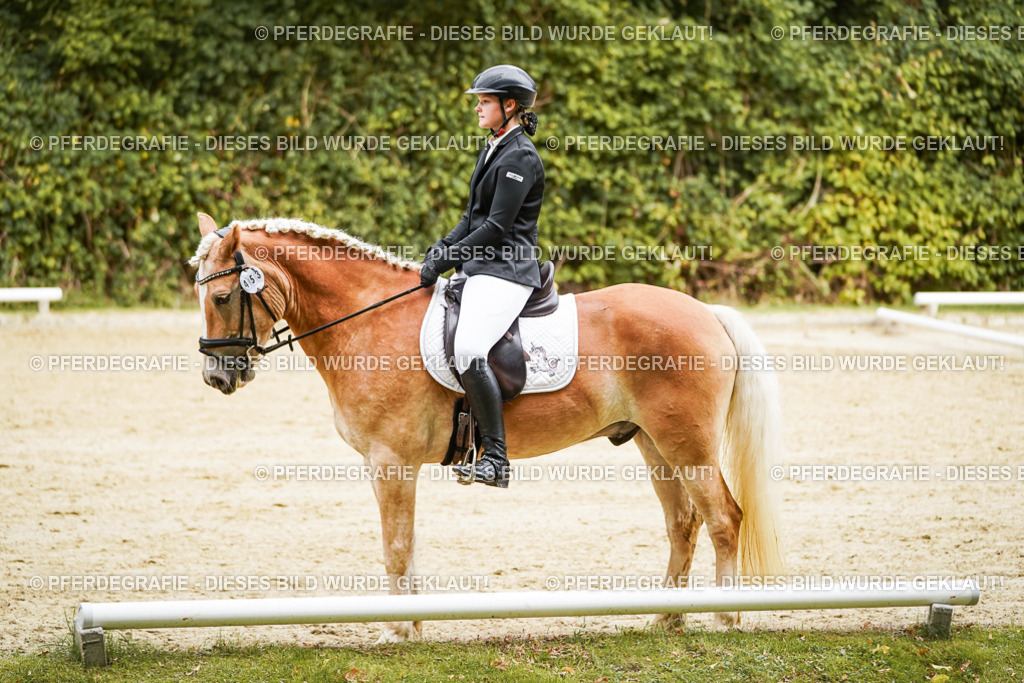 DSC00106 | Pferdegrafie