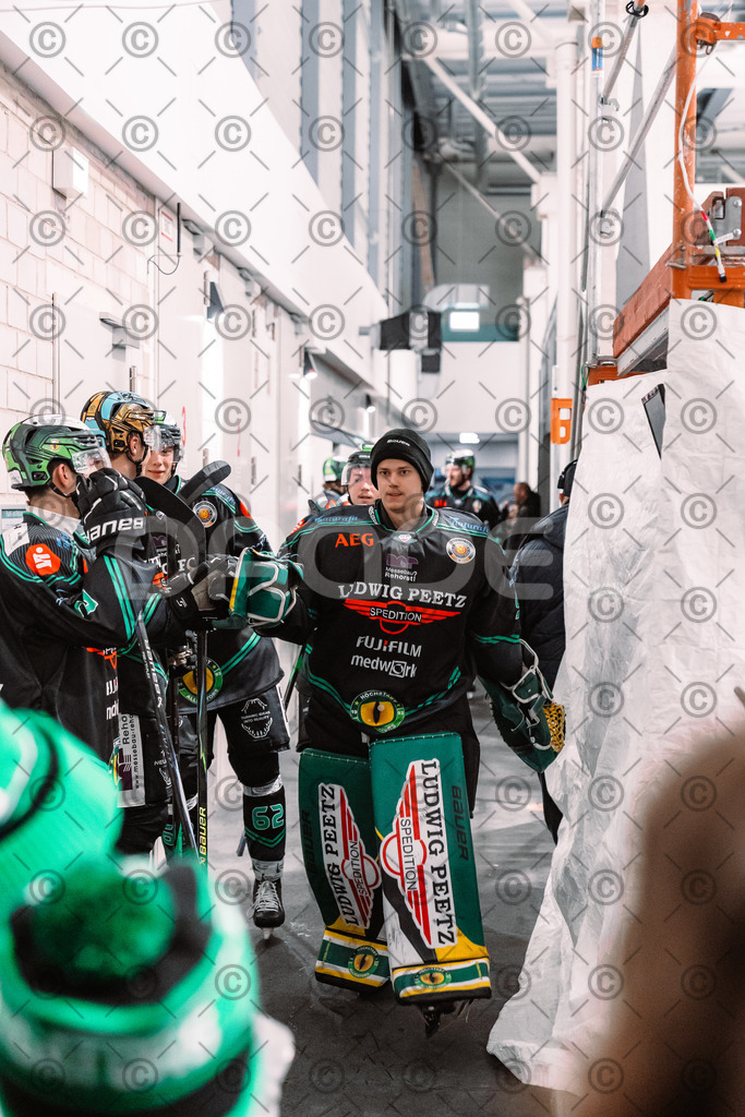 Alligators_vs_Toelz_18_11_2025-69 | Höchstadt Alligators Fotogalerie: Eishockey-Action aus Franken. Professionelle Spielfotos, Portraits & Stadionbilder zum Download. Jetzt entdecken! - Realisiert mit Pictrs.com