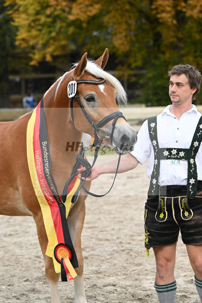 Kat-Nr. 201 Wayana_Aigner_54223487 | hf-fotografie - Realisiert mit Pictrs.com