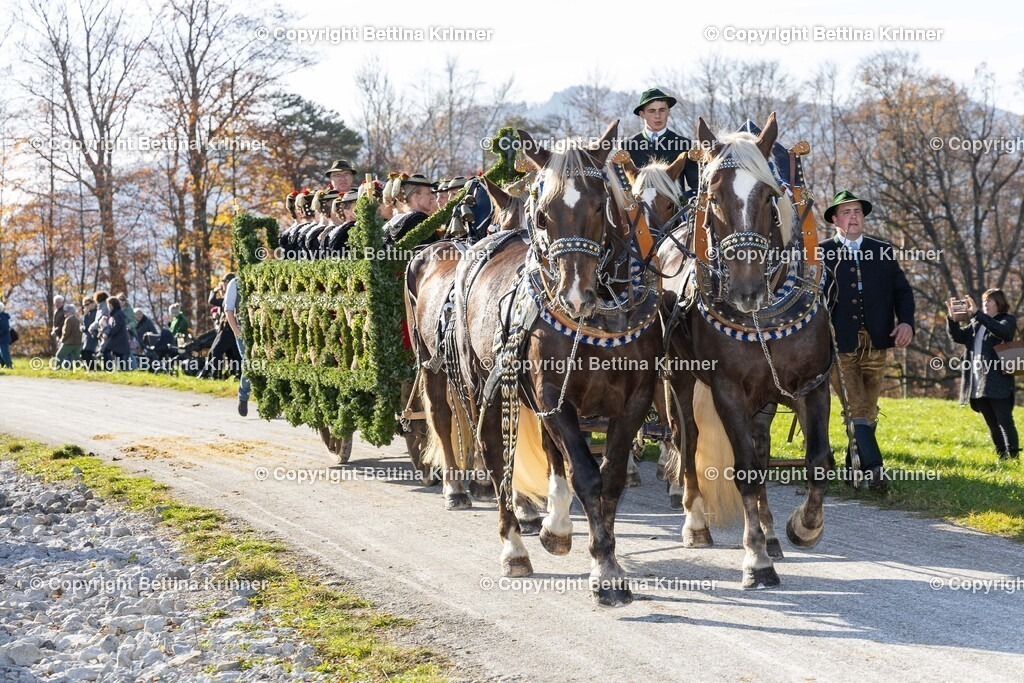 LBT24-1476 | foto-bettina-krinner - Realisiert mit Pictrs.com