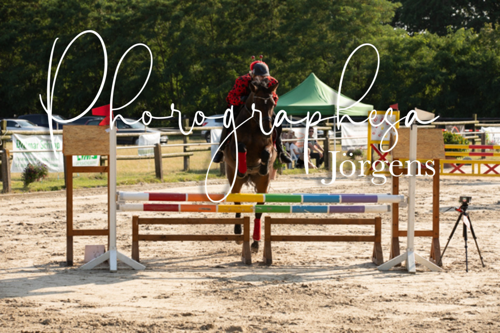 IMG_3509 | photographesa-joergens - Realisiert mit Pictrs.com