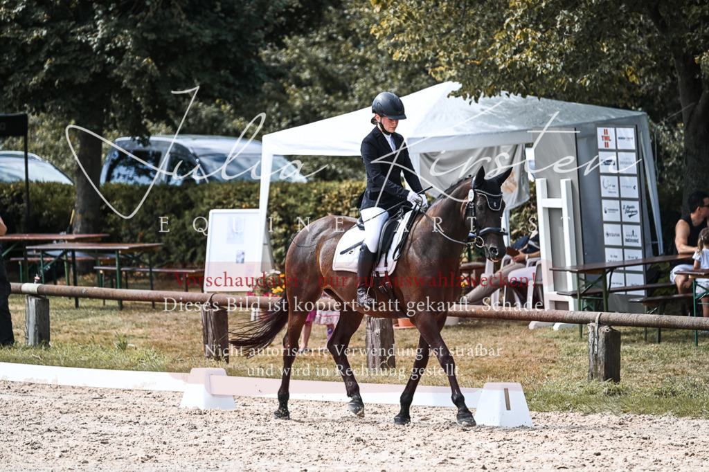 DSC_5269 | Pferde- und Turnierfotografie in Westsachsen. Pferdeportraits, Auftragszeichnungen und intuitive Kunst.