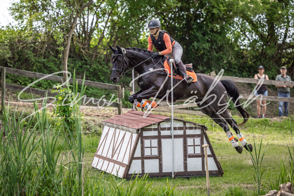 20260523-_3LI9574 | Tierfotografie Pferde, Hunde, Katzen, Haustiere.
Turnierfotografie Reitturniere, Reiten, Springreiten, Dressur in Hanau, dem Main-Kinzig-Kreis und dem Rhein-Main- Gebiet um Frankfurt