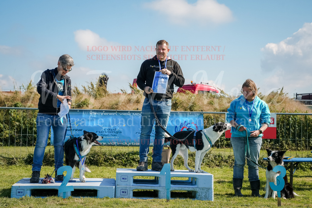 20250928_Hunderennen-756 | MuT (Mensch und Tier) mit Mona - Fotografie und Tierkommunikation - Realisiert mit Pictrs.com