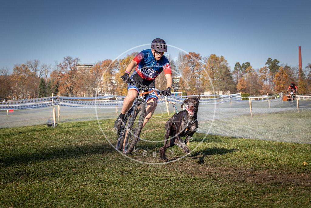 CaniXpix_0L8A6091 | Hundefotografie, Tierfotograf, Pfotenfotografie, Fotoshooting Hund, Hunde Portrait, Hundesport, Hundeportraits, Heideshooting, Hunde, Sportfotograf, Hundefotograf, Turnierhundsport, THS,  - Realisiert mit Pictrs.com