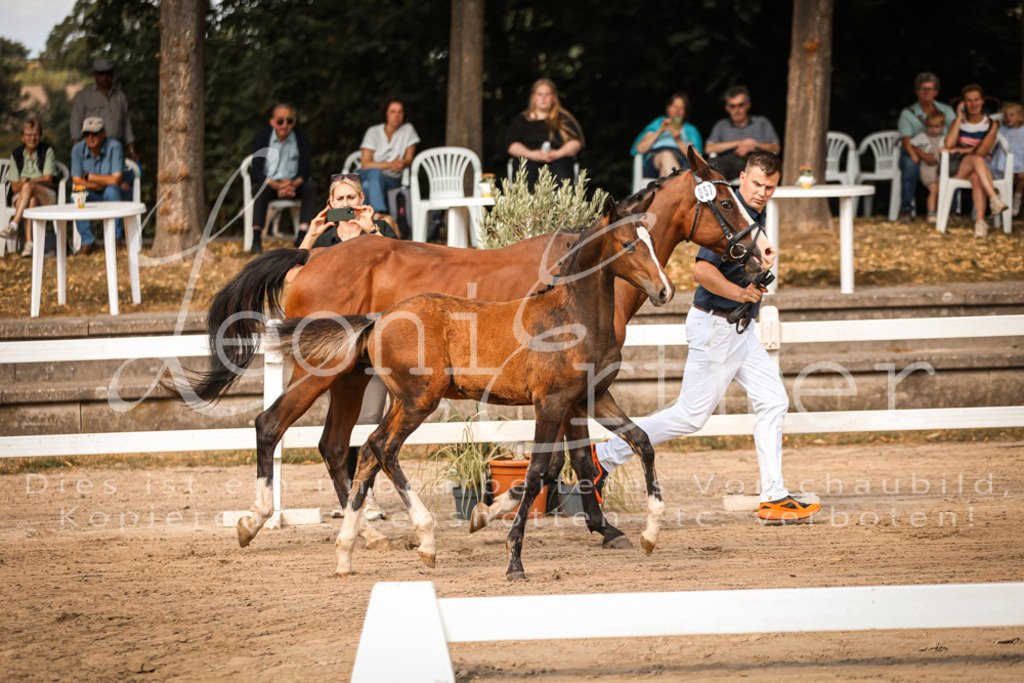 10.DoRP00096 | Leoni Ertmer Photography - Realisiert mit Pictrs.com