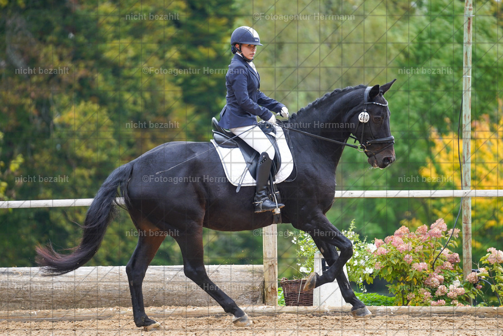 20221008-FAH00969 | Diessen am Ammersee, 2022, Dressur- und Springturnier, Reitsportbilder, Turnierfotografen Bayern, Pferdefotografen, Fotoagentur Herrmann, Turnierbilder