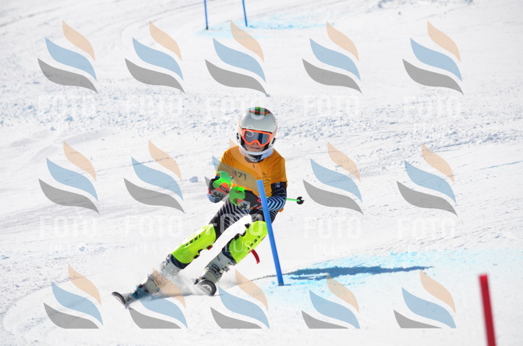 C8521 | holidayphoto