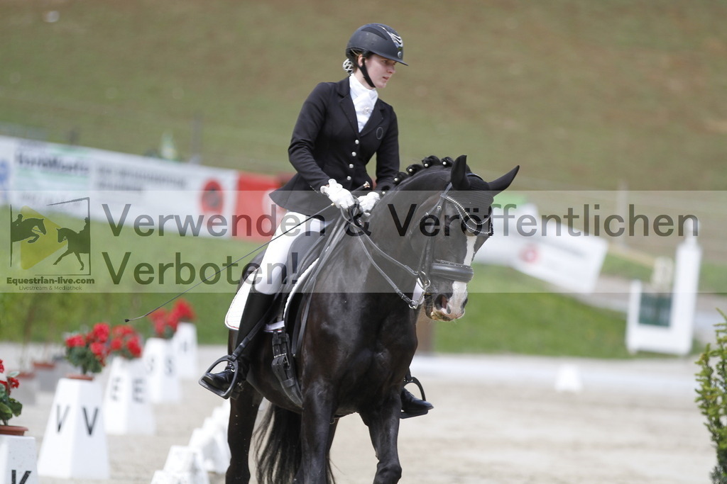 _MG_2629 | equestrian-live-com