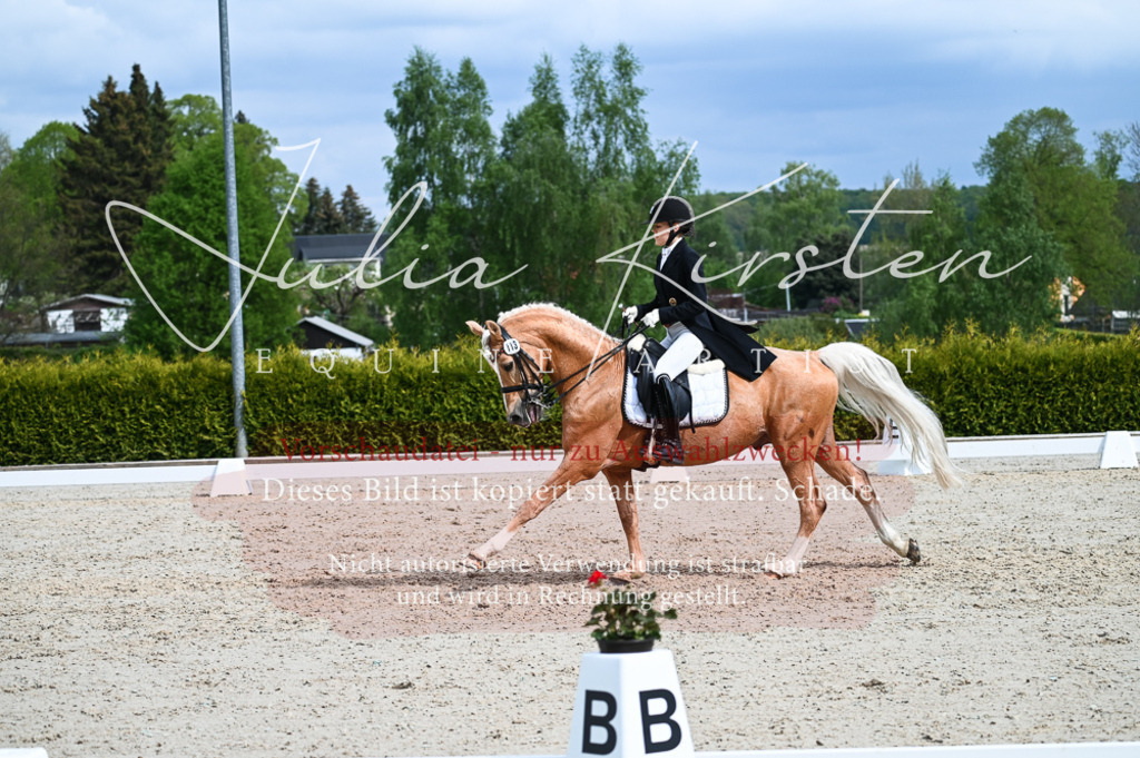 20230513_JK-Röhrsdorf-12-328-2 | Pferde- und Turnierfotografie in Westsachsen. Pferdeportraits, Auftragszeichnungen und intuitive Kunst.