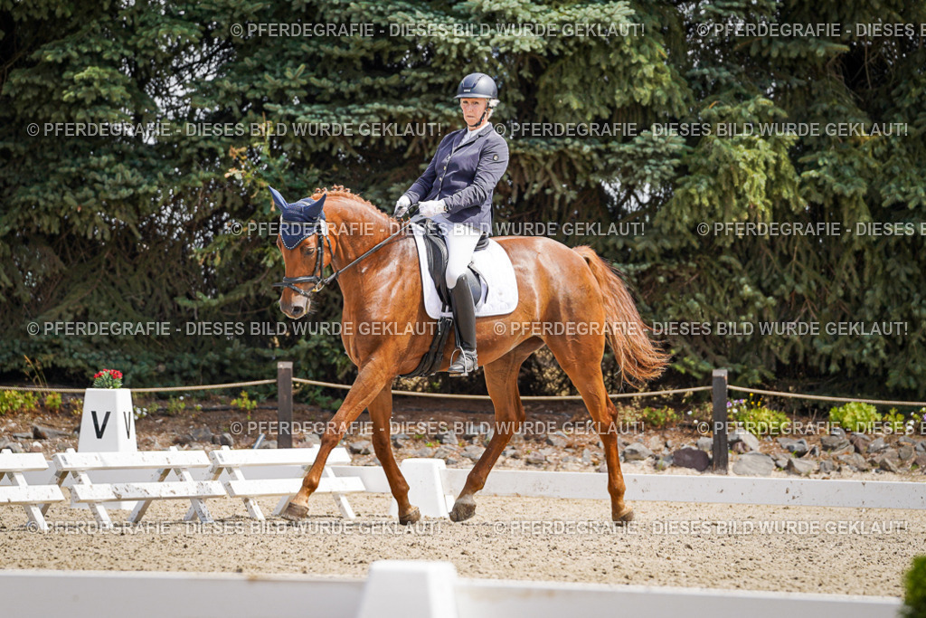 DSC00534 | Pferdegrafie