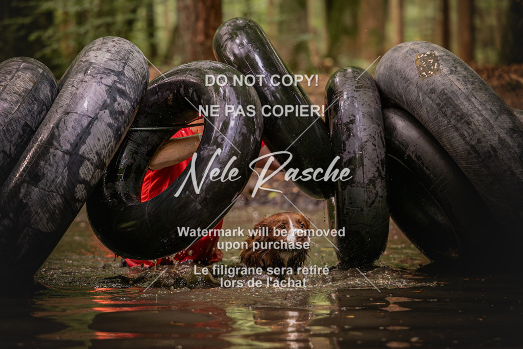 nelerasche_SaWingst1000-1030_218 | nelerasche