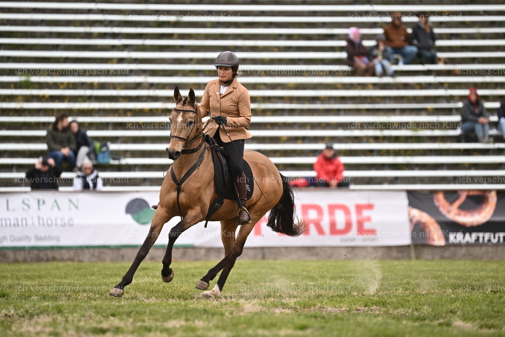 PI26_DR_Show_Sara_Landvogt_226_0716.JPG | working equitationturnier fotograf videograf stoibphotography marixx film working equitation deutschland reitsport turnierfotografie eventfotografie equestrian events