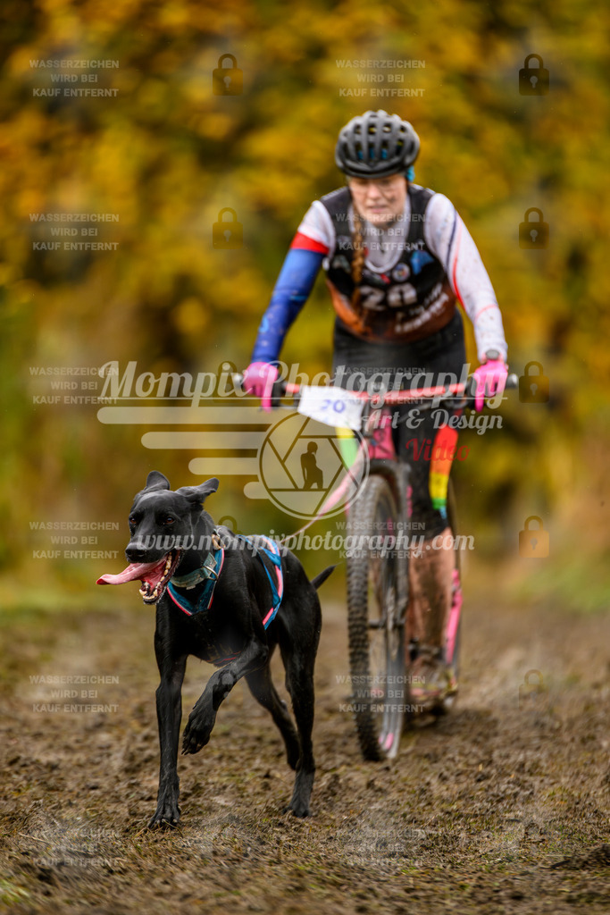 MompixPhotography_ICF_WC_2024_SA_DS_-46 | PayLife