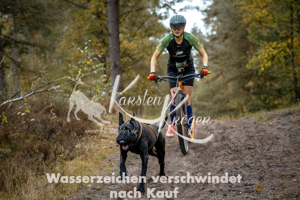 15471547_ZZ92131 | kk-dogfotos