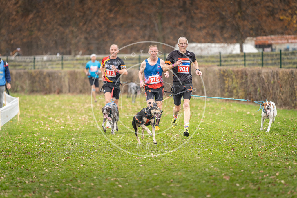 CaniXpix_DV3A7018 | Hundefotografie, Tierfotograf, Pfotenfotografie, Fotoshooting Hund, Hunde Portrait, Hundesport, Hundeportraits, Heideshooting, Hunde, Sportfotograf, Hundefotograf, Turnierhundsport, THS,  - Realisiert mit Pictrs.com