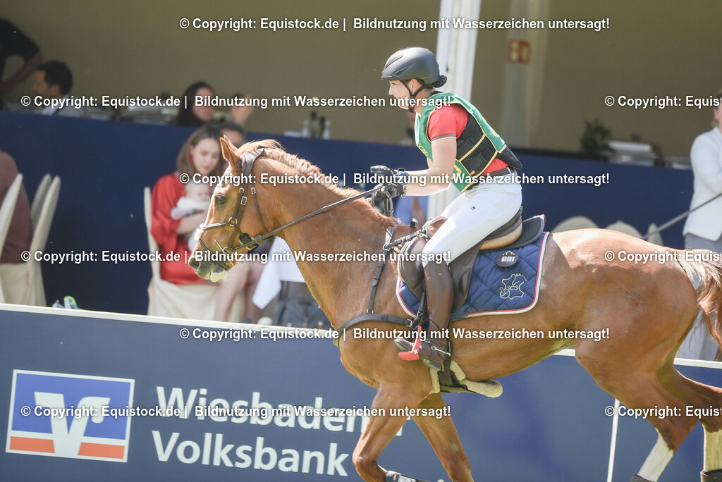 20230527_27_CCI4_Gelände_0322 | equistock