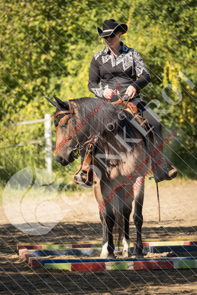 IMG_7212 | Sport-, Event- und Tierfotos in Profiqualität. Einfach auswählen, bestellen und herunterladen. Dein Moment – perfekt festgehalten.