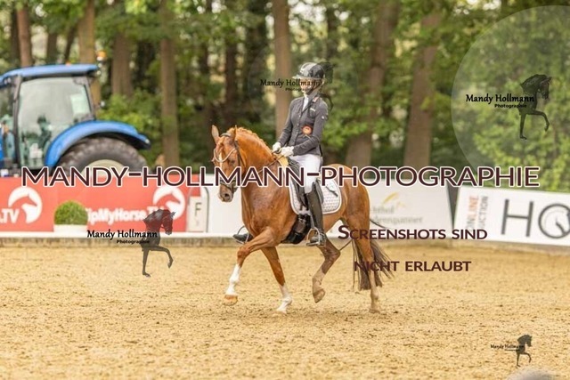 28-8-26 5j DRE-1375 | mandyhollmannphotographie