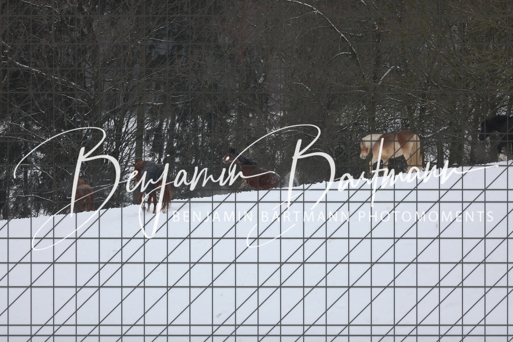 AZ2A3374 | Benjamin Bartmann Photomoments