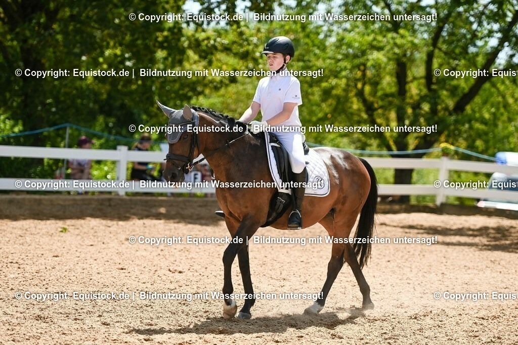 20230715_09_Dressur-WB_0378 | equistock