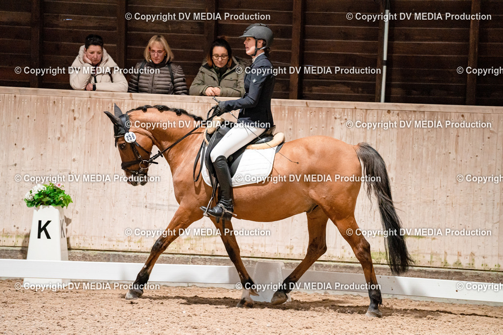 Dressur Tag 1 -453 | dv-media-shop - Realisiert mit Pictrs.com