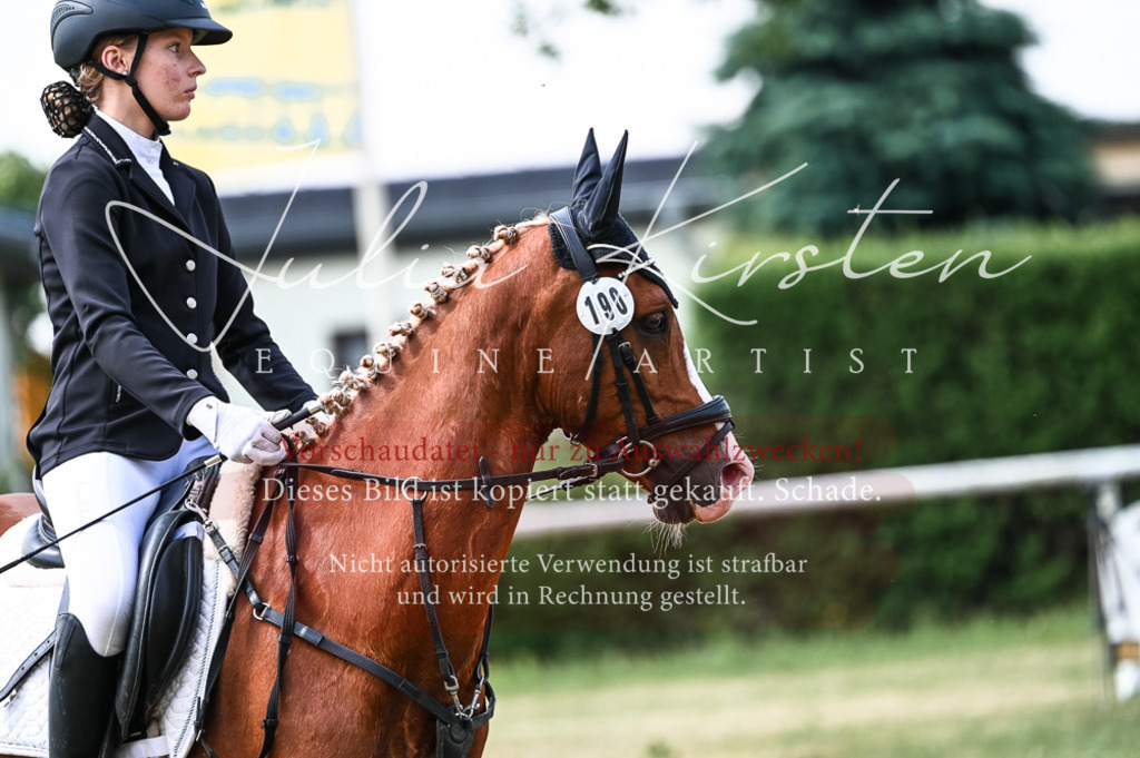 DSC_8712 | Pferde- und Turnierfotografie in Westsachsen. Pferdeportraits, Auftragszeichnungen und intuitive Kunst.