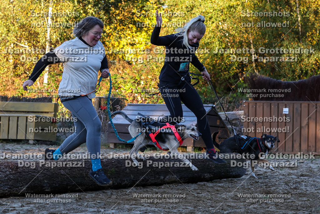 Dog Paparazzi - Strongdog 10-25-576 | Dog Paparazzi Jeanette Grottendiek Fotografie & Videografie - Realisiert mit Pictrs.com