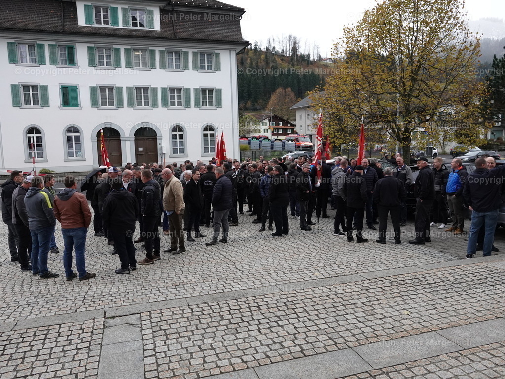 DSC05866 | Schwingen - Realisiert mit Pictrs.com