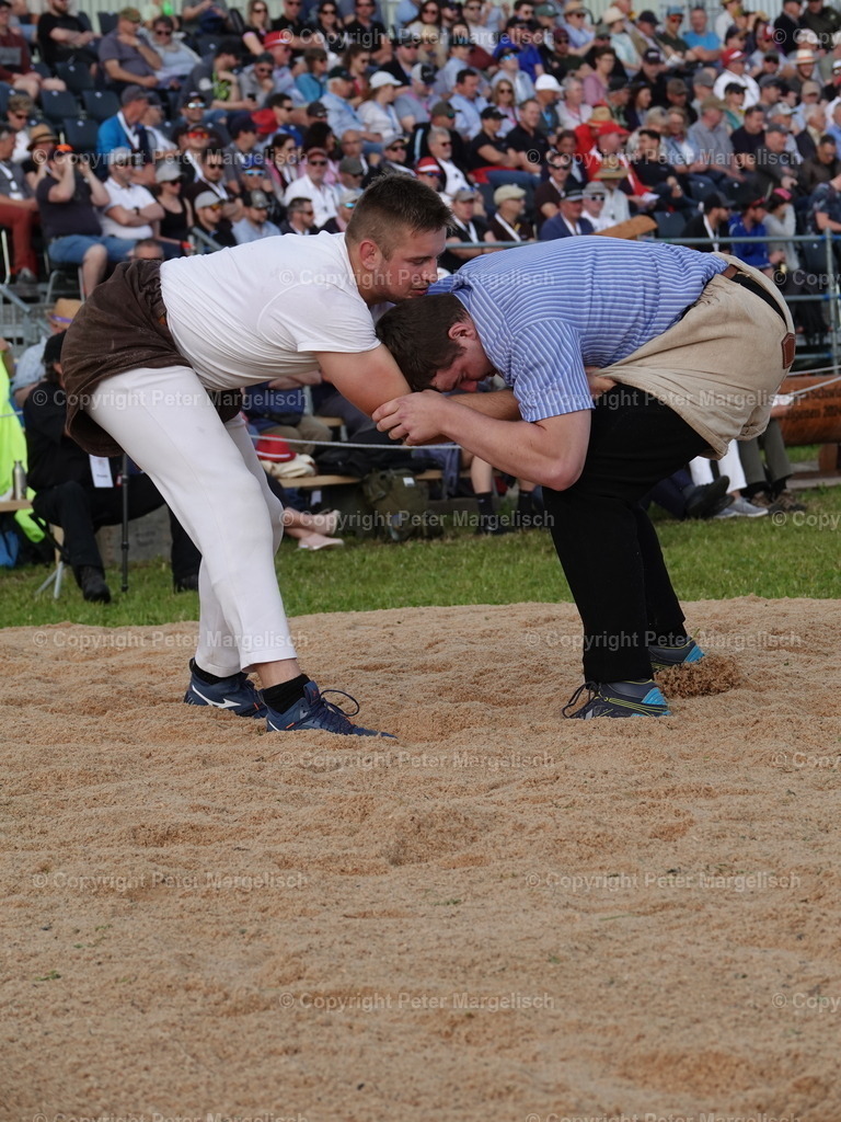 DSC06614 | Schwingen - Realisiert mit Pictrs.com