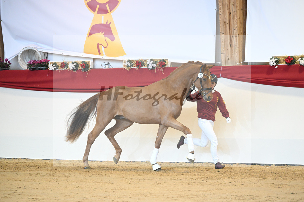 Kat-Nr. 73 Vaderland_Galneder_1231511 | hf-fotografie - Realisiert mit Pictrs.com
