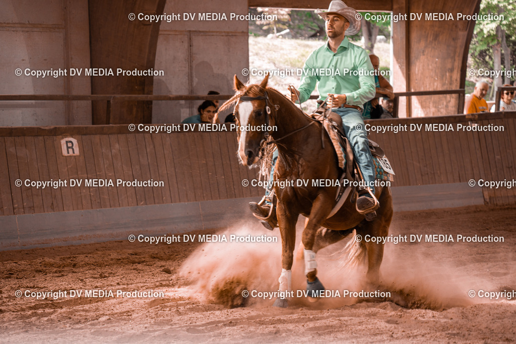 NE300789 | dv-media-shop - Realisiert mit Pictrs.com