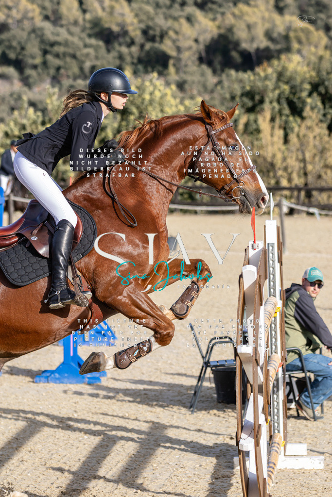 IMG_0390 | s-jay-photography - Realisiert mit Pictrs.com