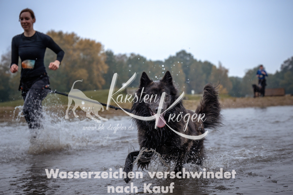 0906_ZZ94256 | kk-dogfotos