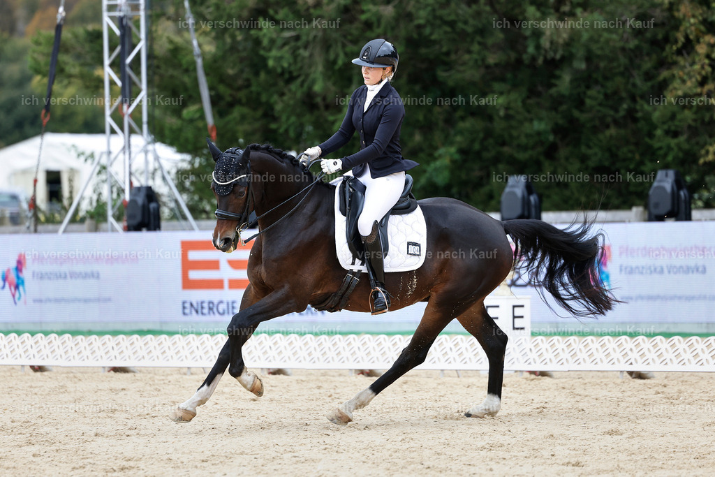 3-104-Dressur M_-StoibPH-2464 | working equitationturnier fotograf videograf stoibphotography marixx film working equitation deutschland reitsport turnierfotografie eventfotografie equestrian events