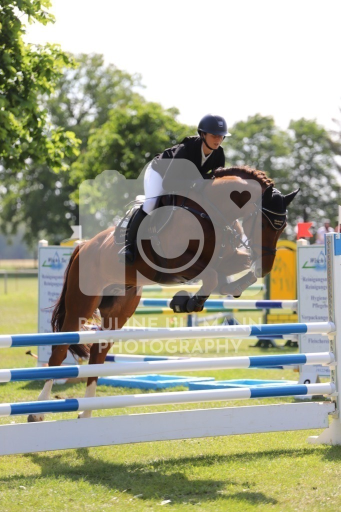 IMG_6528 | Pauline Ullmann Photography - Realisiert mit Pictrs.com