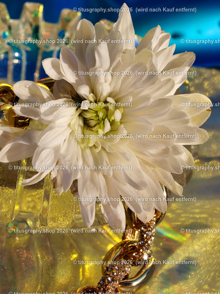 titusgraphy_P7229689-vz-ln | titusgraphy-shop: Geschenkideen mit Qualitätsfotos. titusgraphy-shop: gift ideas with quality photos. titusgraphy-shop: idées cadeaux avec photos de qualité.  - Realisiert mit Pictrs.com