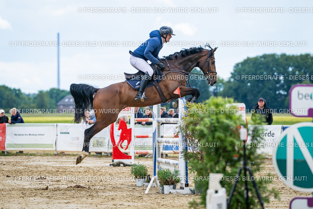 DSC05865 | Pferdegrafie