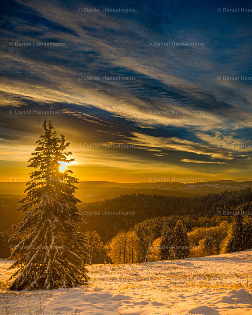 IMG_0296 | Hier finden Sie Poster, Leinwandfotos sowie viele weitere Fotoprodukte mit Motiven aus dem Schwarzwald, aus Freiburg und dem Kaiserstuhl zum Download und zum Bestellen.  - Realisiert mit Pictrs.com