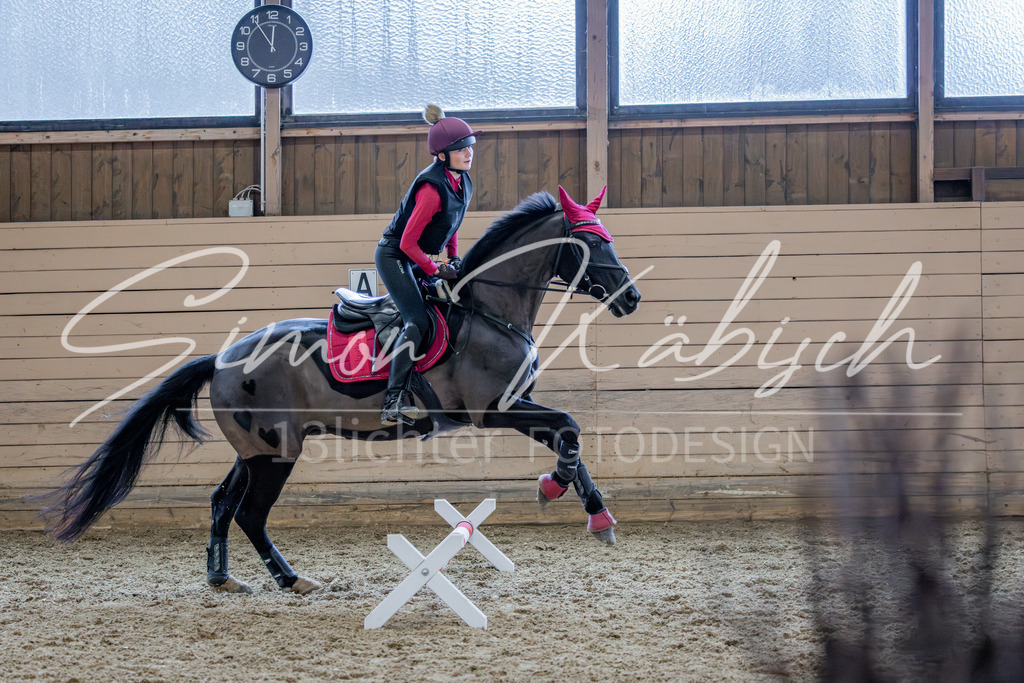 20260222-_3LI2178 | Tierfotografie Pferde, Hunde, Katzen, Haustiere.
Turnierfotografie Reitturniere, Reiten, Springreiten, Dressur in Hanau, dem Main-Kinzig-Kreis und dem Rhein-Main- Gebiet um Frankfurt