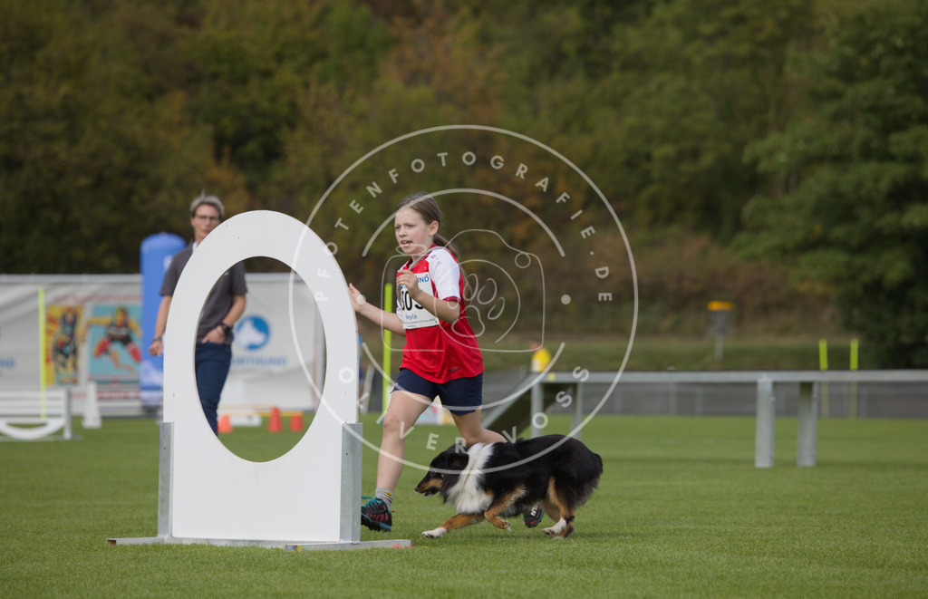 0L8A3635 | Hundefotografie, Tierfotograf, Pfotenfotografie, Fotoshooting Hund, Hunde Portrait, Hundesport, Hundeportraits, Heideshooting, Hunde, Sportfotograf, Hundefotograf, Turnierhundsport, THS,  - Realisiert mit Pictrs.com