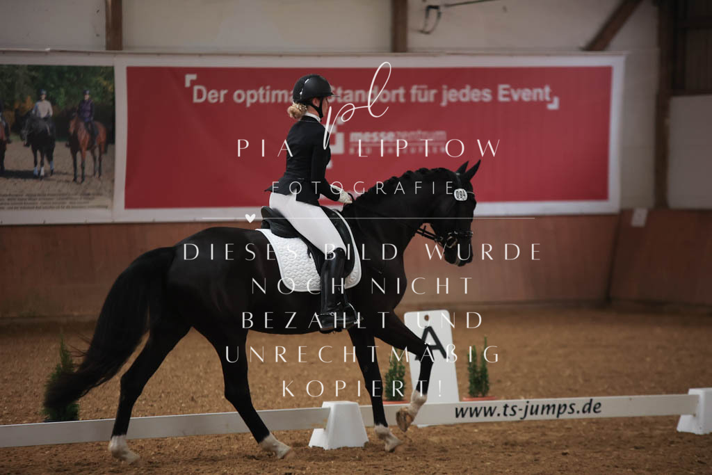 IMGT6994 | pl-fotografie