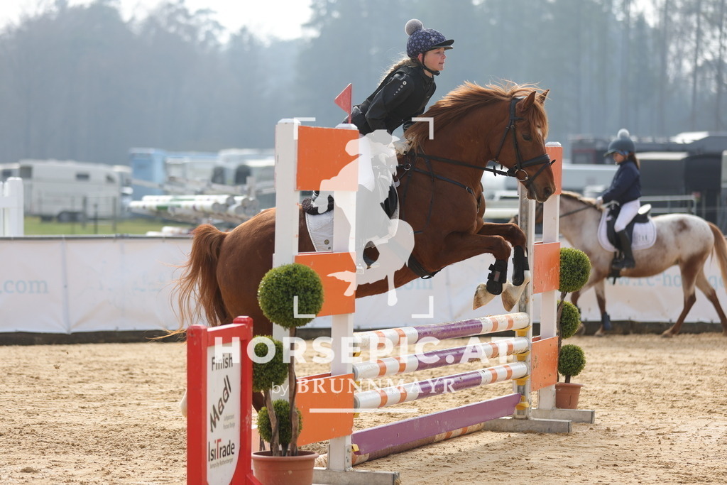 0P6A9232 | Willkommen bei Brunnmayr - Design & Fotografie – Ihrem Spezialisten für Reitturniere und Pferdeveranstaltungen in Oberösterreich, Salzburg und Bayern! Seit über 17 Jahren sind wir leidenschaftlich dabei.
