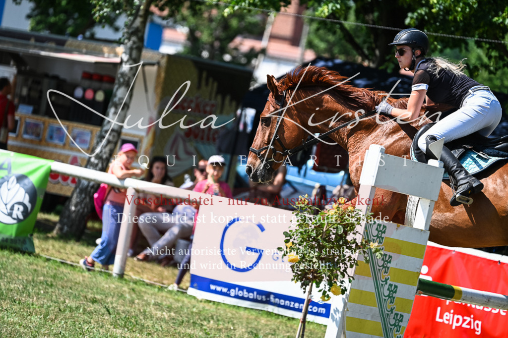 DSC_1252 | Pferde- und Turnierfotografie in Westsachsen. Pferdeportraits, Auftragszeichnungen und intuitive Kunst.