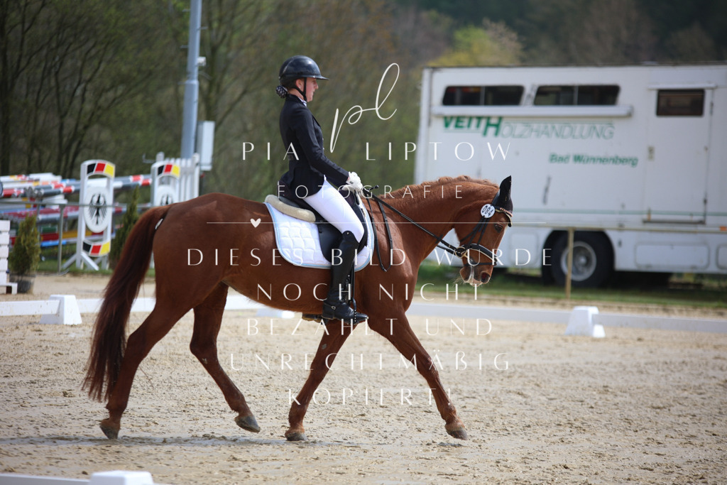 IMGT2586 | pl-fotografie