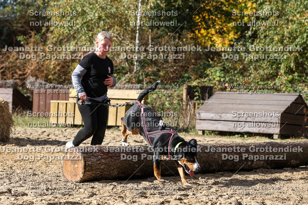 Dog Paparazzi - Strongdog 10-25-4939 | Dog Paparazzi Jeanette Grottendiek Fotografie & Videografie - Realisiert mit Pictrs.com