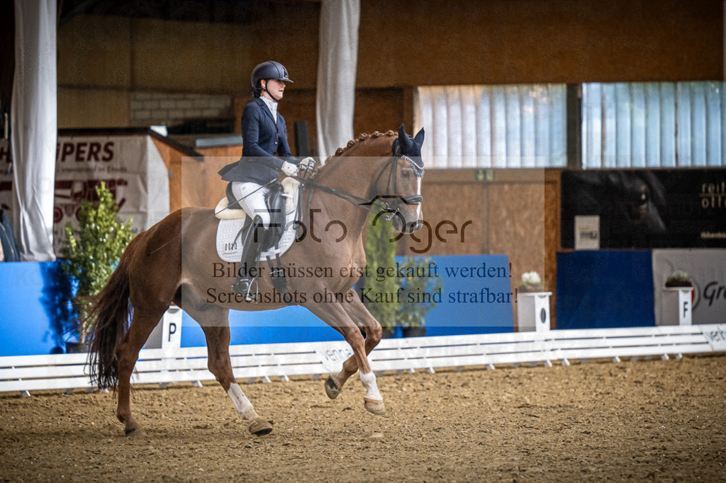 DOS_0833 | Entdecke hochwertige Reitturnierfotos von Foto Oger. Professionell, emotional und authentisch – jetzt Lieblingsmomente im Shop bestellen.Deutschlandweite Turnierfotografie. - Realisiert mit Pictrs.com